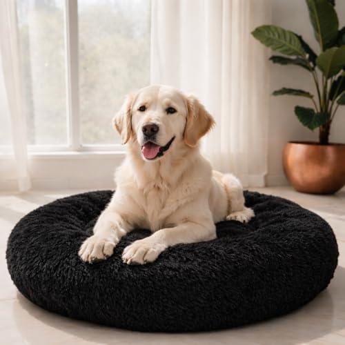 ZEXSAZONE Summer Comfortable Durable Both Sides usable and Washable Pet Bed | Cat Bed | Puppy Bed | Dog Bed | Medium Dog Bed for Cats Puppies (Black, Medium) - Image 1