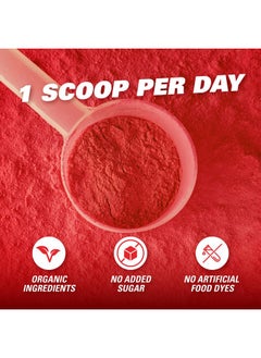 EHP Labs EHP Labs OxyReds Superfood Beets Powder - Nitric Oxide Supplement, Organic Beet Root Powder, Immune Support Supplement & Prebiotics for Digestive Health, Beet Powder - Fruit Xplosion, 30 Servings  - Image 3