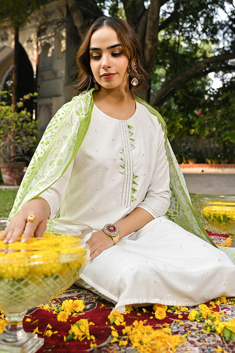 ZERESOUQ Green Rayon Blend Solid Embroidered Straight Kurta Set