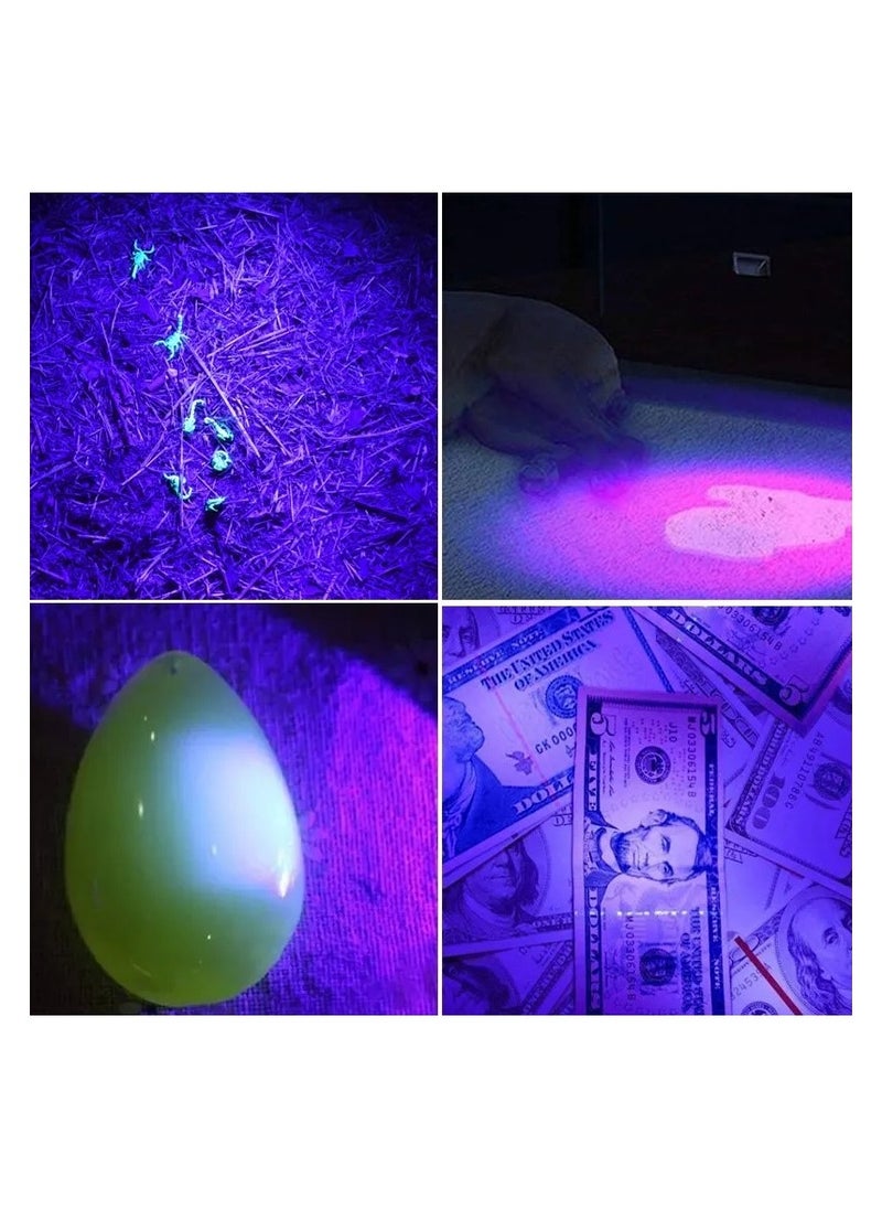 Generic - Small Portable Flashlight UV Scorpion And Snake Detector LED Technology Useful For Outdoor Activities Such As Camping And Walking - Image 1