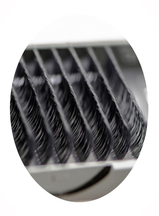 إميليستورز وصلات رموش من إيميلي ستورز، سمك 0.10 مم، انحناء C، طول 14 مم، كثافة فردية، رموش طبيعية المظهر، مقاس واحد لوصلات الرموش (0.10، C، 14 مم). - Image 5