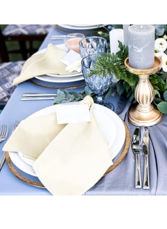 10 Pieces Satin Napkins Soft Dinner Napkins Square Table Napkins 17 x 17 Inches for Restaurant Weddings Party Dinner Decoration(Ivory) - pzsku/Z99451A76EBF5AB009099Z/45/_/1720630288/d38f749d-4bf9-44b0-bc6a-fb854cc26b66