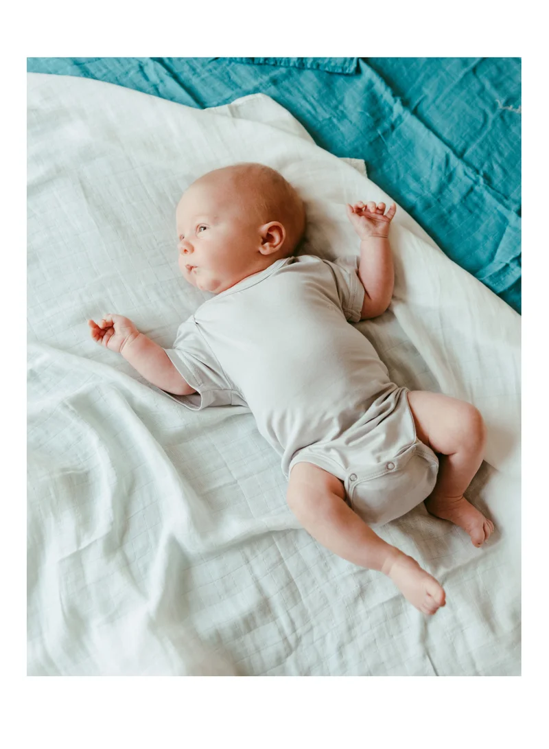 Anvi Baby Organic Bamboo Spandex Bodysuit- Grey	6 to 12 months