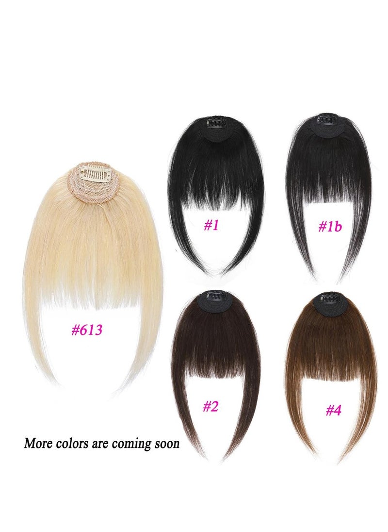 General - Clip in Bangs 100% Real Human Hair Extensions Clip on Wispy Bangs for Women Fringe with Temples Hairpieces Dark Brown Color - Image 1