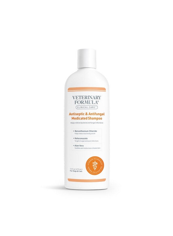 فاترناري فورميولا شامبو طبي مطهر ومضاد للفطريات من Veterinary Formula Clinical Care للكلاب والقطط، 16 أونصة سائلة - يساعد على تخفيف الجلد المتقشر والدهني والأحمر - خالٍ من البارابين والصبغة والصابون (عبوة واحدة) - Image 1