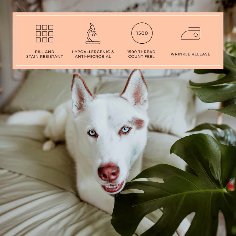PeachSkinSheets PeachSkinSheets Sage Green Sheet Set - 1500tc Level of Softness - Extra Soft Cooling Sheets for Hot Sleepers and Night Sweats - Split Head King Size (36"" Split)  - Image 4