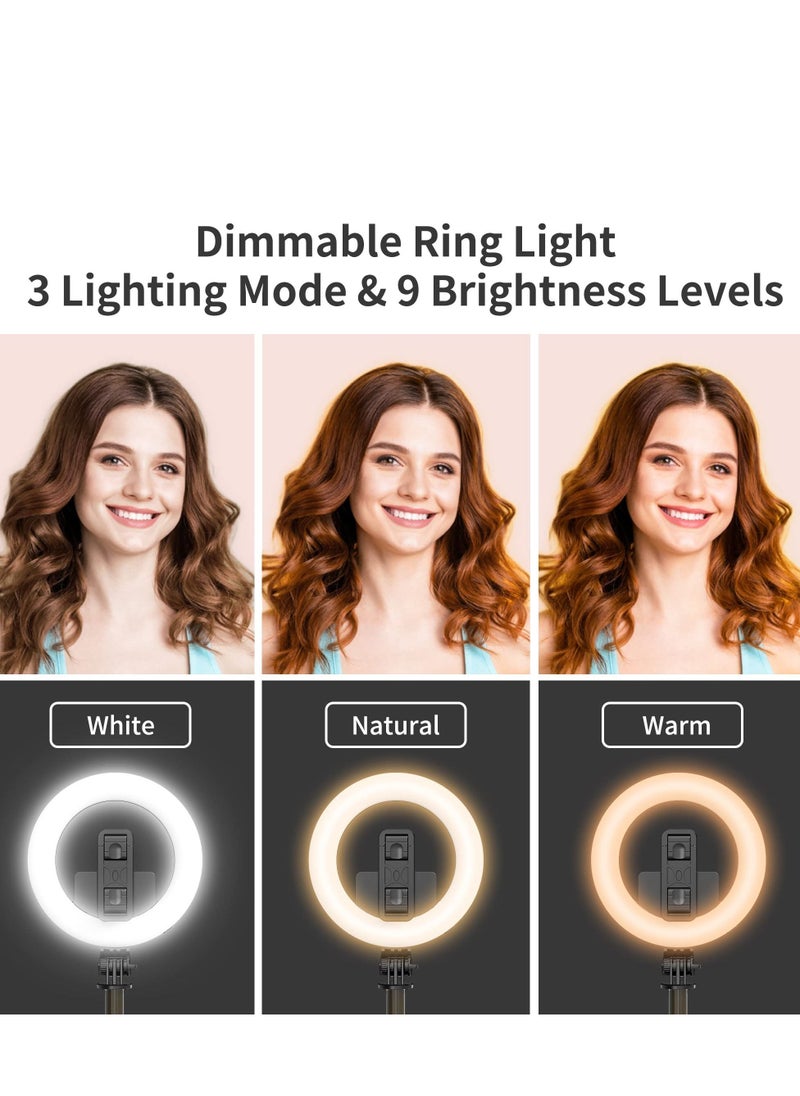 Video Light, LED Camera Light Computer Video Conference Light, Portable Selfie Light High Power 3000mAh Rechargeable/CRI 95+/3 Lights Modes/3 Bases for Phone, iPhone, Zoom, Picture, Makeup (with Clip) - pzsku/Z99461A89891CB46BF0BFZ/45/_/1692438923/373b8728-907d-4abb-9f15-d9c92363e73a