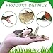 EOIVSH 12PCS Realistic Reptile Animal Figurine SetCold Blooded Amphibians Wild Animal Figures Toy with Lizard Komodo Dragon Snake Alligator for Kids and Toddlers 3 - Image 2