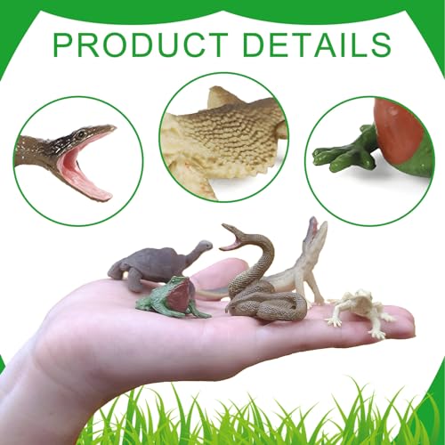 EOIVSH 12PCS Realistic Reptile Animal Figurine SetCold Blooded Amphibians Wild Animal Figures Toy with Lizard Komodo Dragon Snake Alligator for Kids and Toddlers 3 - Image 5