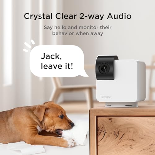 Petcube كاميرا بيتكوب كام 360 كاميرا تفاعلية واي فاي لحماية الحيوانات الأليفة والمنزل مع تطبيق الهاتف، فيديو بدقة 1080 بكسل، دوران 360°، رؤية ليلية، تنبيهات ذكية - Image 4