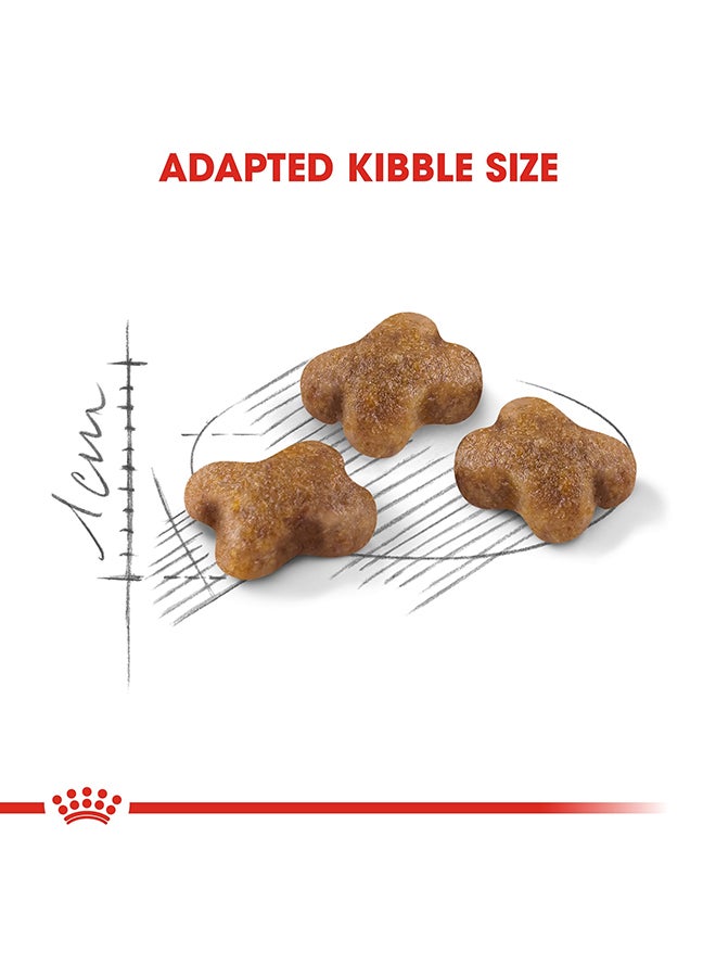 ROYAL CANIN Feline Health Nutrition Kitten Stage 3 - Image 3