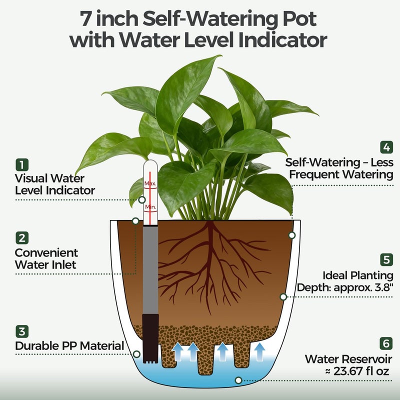 T4U Self Watering Pots for Indoor Plants, 7 Inch Self Watering Planters with Water Level Indicator, Bottom Watering African Violet Pots for Beginners & Busy Plant Owners, BPA-Free (2 Pack, White) - Image 2