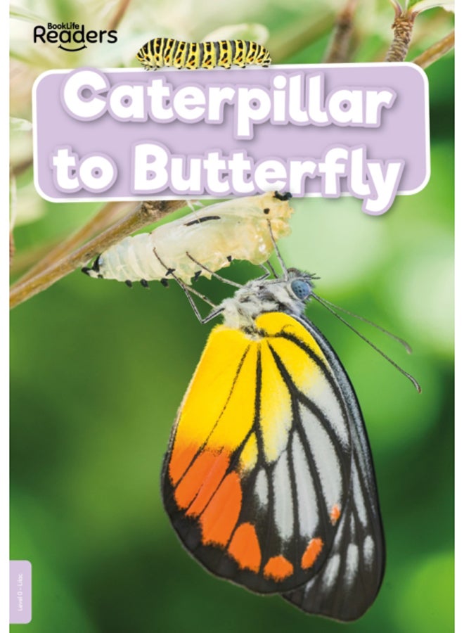 Caterpillar to Butterfly