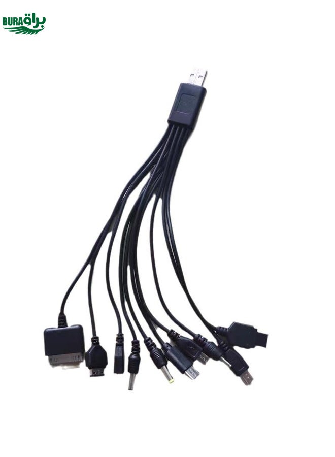 BURAQ 10 In 1 Multifunction USB Charging Cable For IPhone / PSP / Camera / Nokia / HTC / LG / Samsung(Black) - Image 1