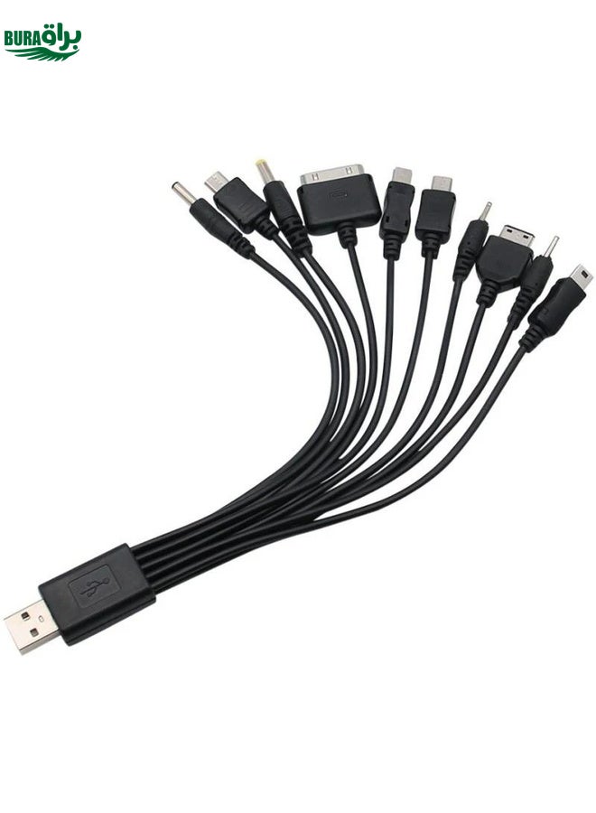 BURAQ 10 In 1 Multifunction USB Charging Cable For IPhone / PSP / Camera / Nokia / HTC / LG / Samsung(Black) - Image 2