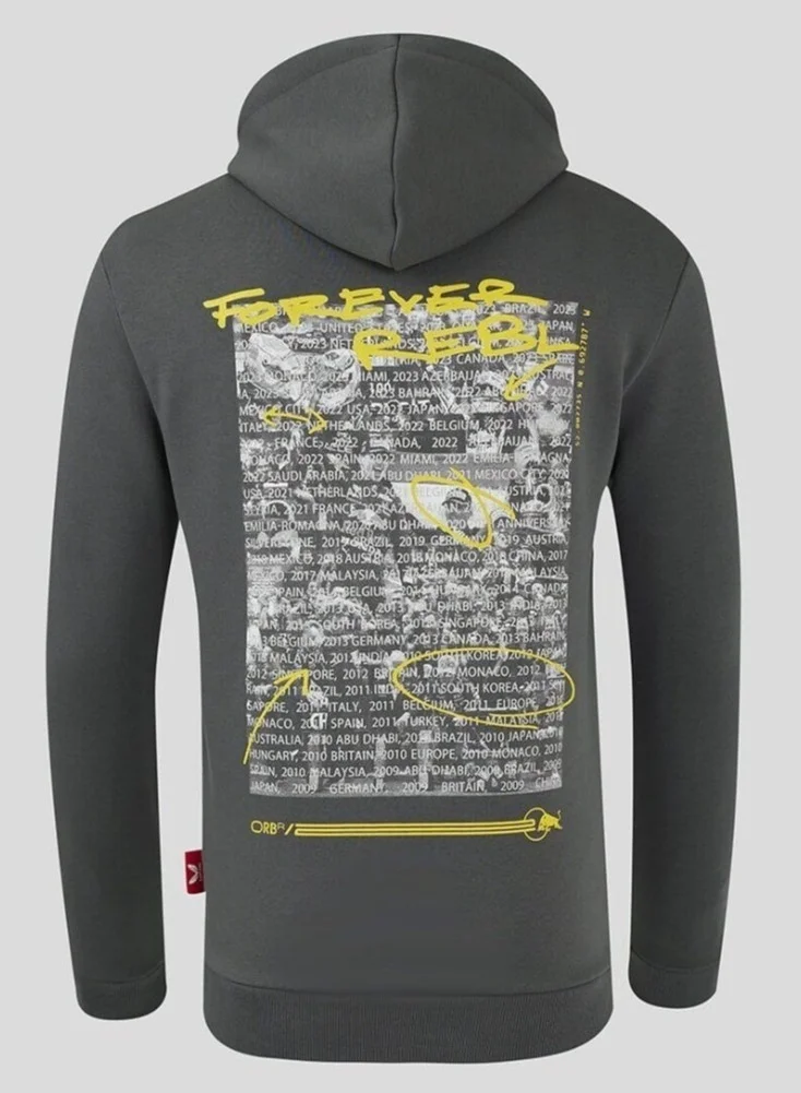 Red Bull  Red Bull Racing F1 20th Anniversary Hoodie - Gray for Men | Best Price UAE