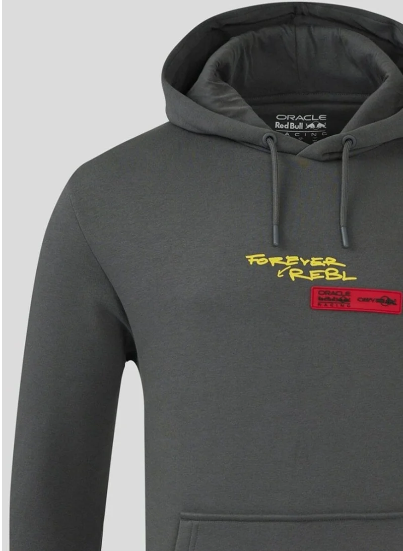 Red Bull  Red Bull Racing F1 20th Anniversary Hoodie - Gray for Men | Best Price UAE