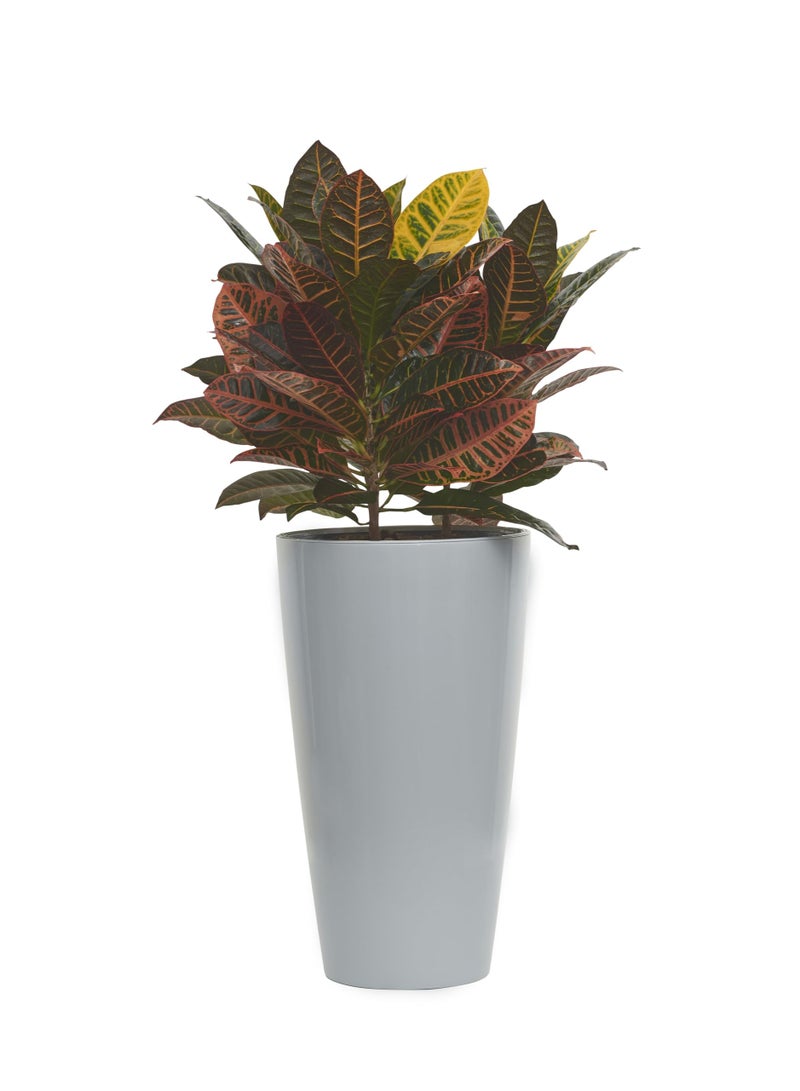 IDEL Large Planter Pot 55cm Living High Round –Big Indoor Outdoor Plant Pot Decorative Plant Container, Lightweight Durable Plastic, Multiple Colors – Made in Italy - by Idel - Image 1