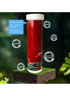 DubaiGallery 22Pcs Gardening Universal Slow-Release Tablet Organic Fertilizer Plant Flowers Nitrogen Phosphorus Potassium Slow Release Agent  - Image 4