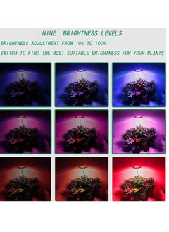 General Indoor Grow Light, 48 Full Spectrum Light Emitting Diodes, 3 color modes x 9 height adjustable brightness, Grow Light with Automatic On/Off Timer 3/9/12 hours  - Image 5