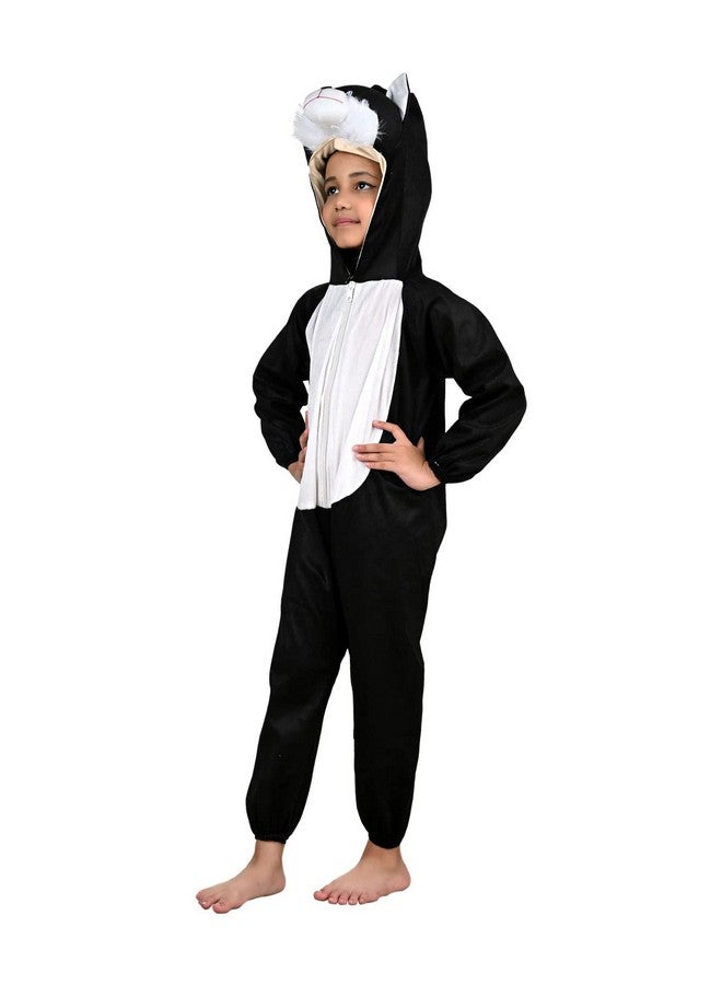 بوك ماي كوستيوم زي تنكري على شكل قطة وحيوان من BookMyCostume للأطفال من عمر 3 إلى 4 سنوات - Image 4