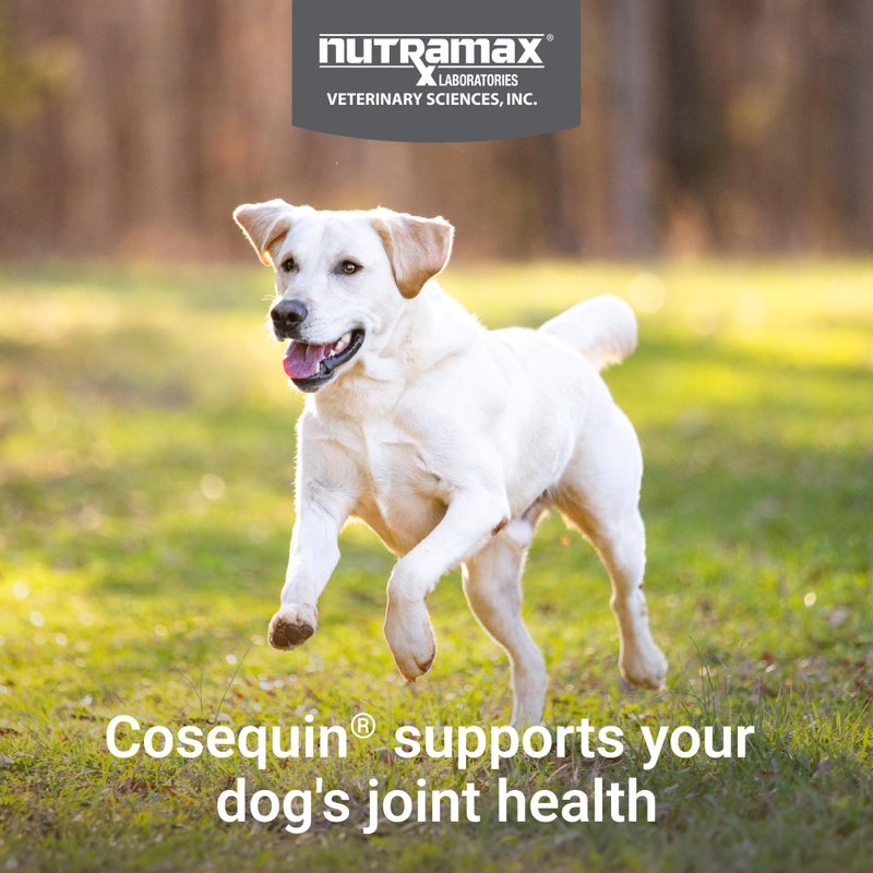 Nutramax Laboratories Nutramax Cosequin for Dogs Joint Health Supplement, Contains Glucosamine for Dogs, Plus Chondroitin, MSM and HA, Supports Healthy Joints, Chewable Tablets, 75 Count - Image 3