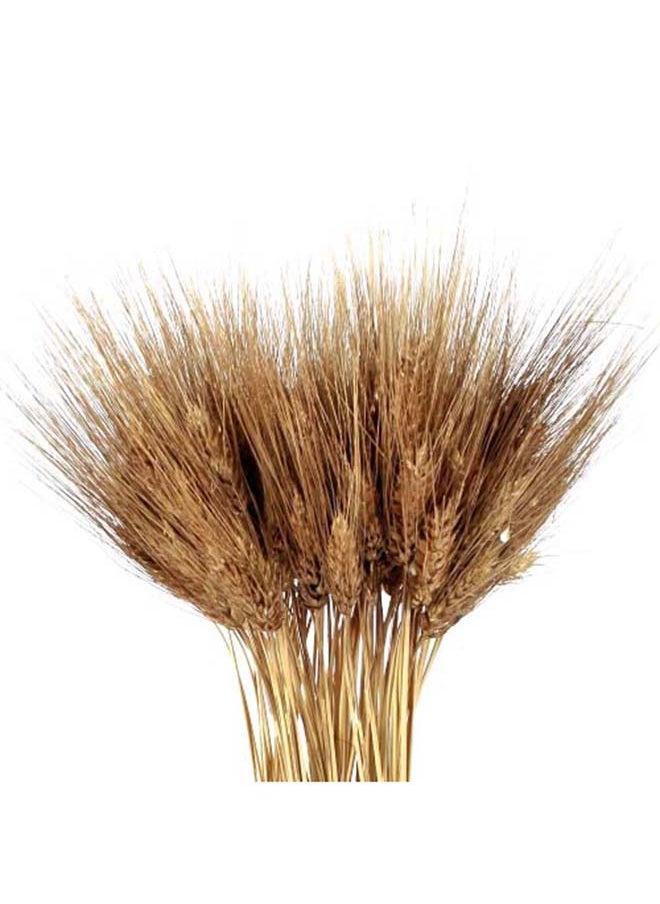 Generic Natural Dried Wheat Grass Artificial Bundle Bouquet (Gold, 100)  - Image 3