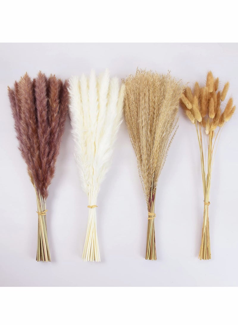 SOLARAE 100 Pieces Dried Pampas Grass Decor, Brown And White Pampas Grass, Reed Grass, Rabbit Tail Grass, Boho Home Decor Bouquet, Dried Flowers For Wedding Floral Arrangements Wall Bathroom Decor - Image 1