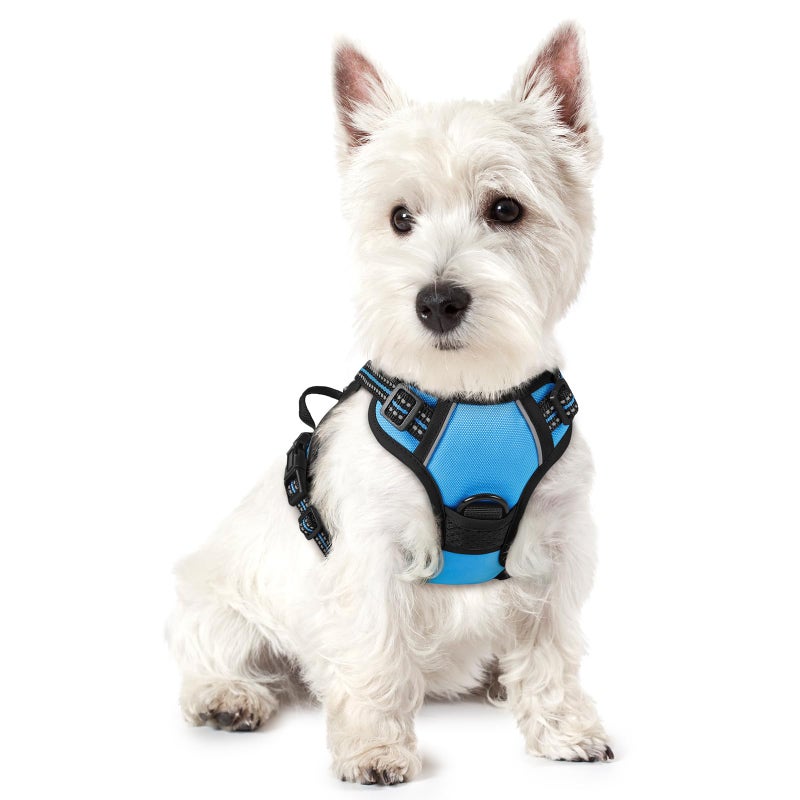 rabbitgoo Dog Harness No Pull with 2 Leash Clips, Adjustable Soft Padded, Reflective Oxford No Choke Pet Vest with Easy Control Handle for Puppy, Blue, XS - Image 1