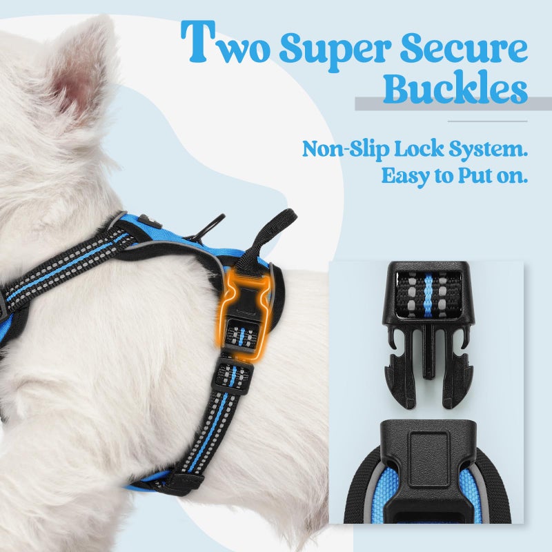 rabbitgoo Dog Harness No Pull with 2 Leash Clips, Adjustable Soft Padded, Reflective Oxford No Choke Pet Vest with Easy Control Handle for Puppy, Blue, XS - Image 3