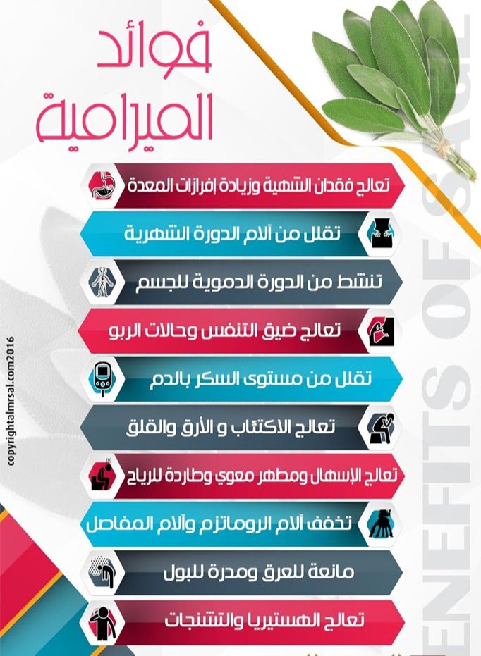 هيربز نبات المرمرية المجفف الطبيعي 100% عضوي نقي  500 جم - Image 4