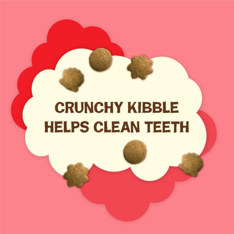 Friskies Purina Friskies Natural Cat Treats Party Mix Natural Yums With Real Salmon and Added Vitamins, Minerals and Nutrients - 20 Oz. Canister - Image 2