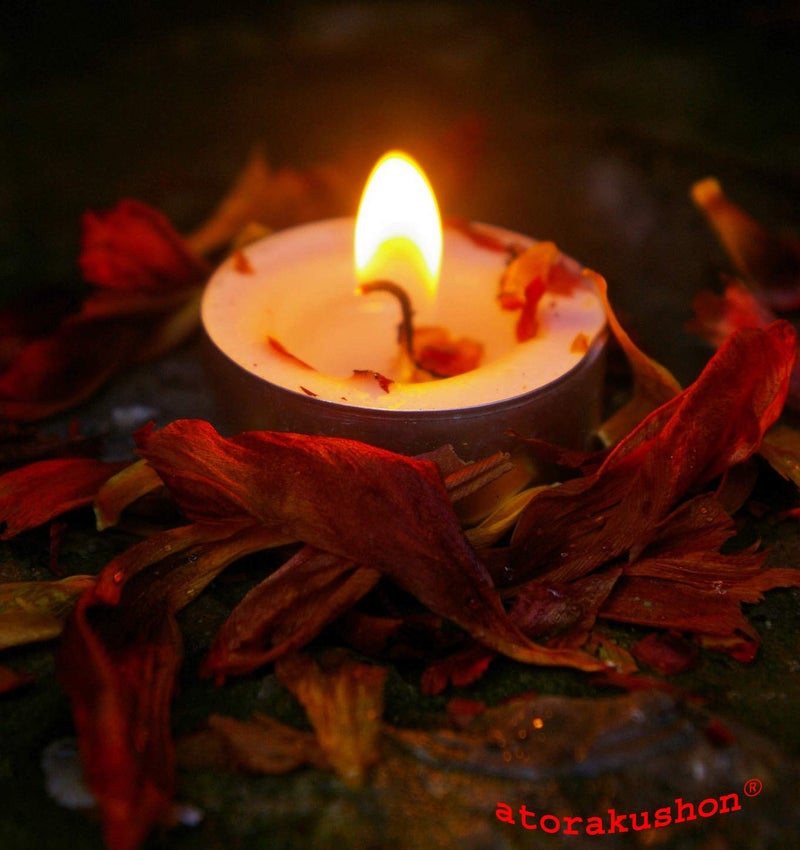 atorakushon® Paraffin Wax Smokeless Scented 40 Pink T-lite Floating Candle Decorate for Any Occasion - Image 4