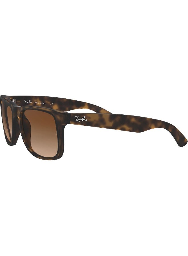 Ray-Ban Men UV Protection Sport Shape Sunglasses RB-4165F-55-865/T5 - Brown - Image 4