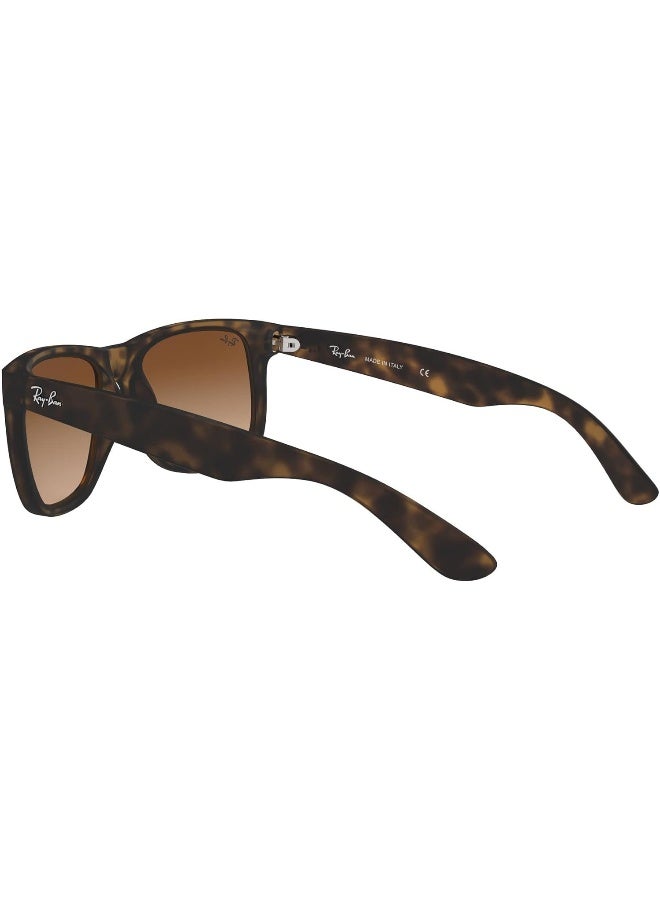 Ray-Ban Men UV Protection Sport Shape Sunglasses RB-4165F-55-865/T5 - Brown - Image 5