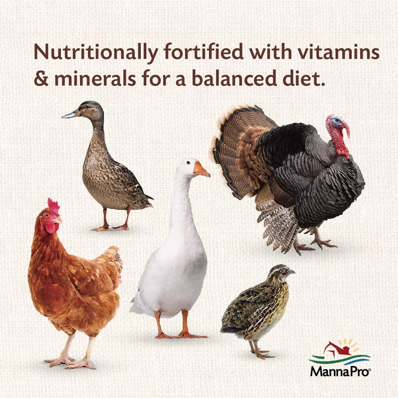 Manna Pro All Flock Crumbles, Crafted with Probiotics for Gut Health & Digestion, 16% Protein for Mixed Flocks with No Artificial Colors or Flavors, Crumbled for Easy Feeding, 8 lbs - Image 4