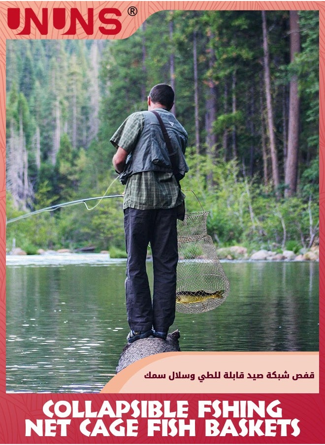 UNUNS - سلة سمك، سلال سمك من أسلاك الفولاذ المقاوم للصدأ، قفص شبكي لصيد السمك قابل للطي ومقاوم للصدأ، مصيدة طُعم صيد قابلة للطي، سلة شبكية مصيدة صيد، قفص مصيدة تيدلر لصيد الروبيان وجراد البحر وأسماك الطعم والأسماك الصغيرة - Image 1