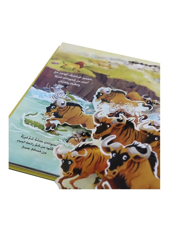 Educational Innovations - The Animal Kingdom - The Wilderness - Image 1