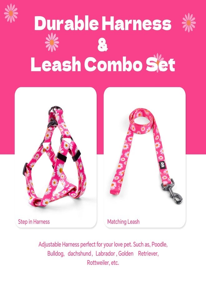 كيوكيو بيتس طقم حزام ومقود للكلاب من QQPETS، قابل للتعديل، شديد التحمل، لا يسبب الشد، مناسب للكلاب الصغيرة والمتوسطة والكبيرة، مزود بمشبك خلفي مضاد للالتواء، مثالي للمشي (مقاس M (محيط الصدر 19-26 بوصة)، ديزي) - Image 5