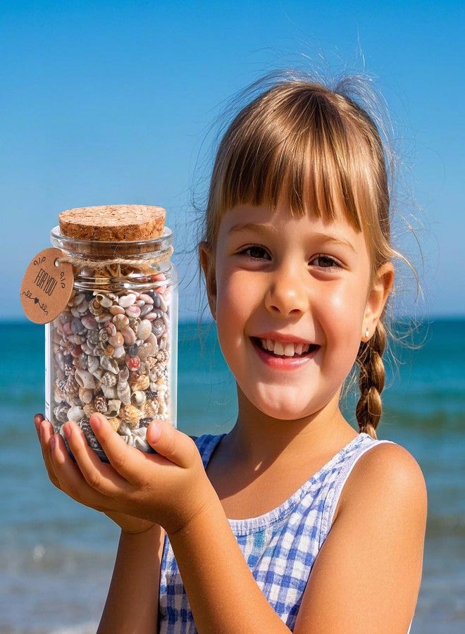 PPCLION 60pcs Tiny Starfish 1800 Pcs Tiny Mini Small Sea Shells for Crafting Spiral Conch Shells for Crafts Charms for Home Decorations Candle Decor DIY Fish Tank and Beach Vase Filler - Image 2