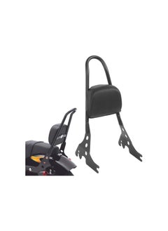 Motorcycle Backrest Bar, Detachable Motorcycle Backrest Bar Pad Kit Fit for XL883C XL883R XL1200R XL1200C XLH883 0419(black)