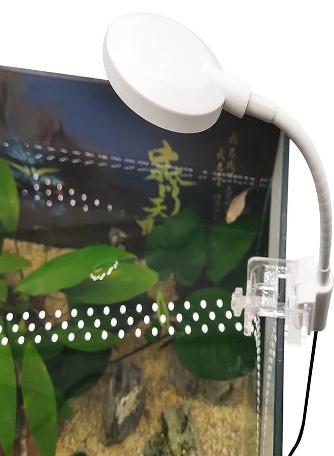 Rizopets Multicolor Changing Nano Aquarium Lamp, 360-Degree Adjustable Clip Light for Small Aquarium & Fish Bowls (Blue & White) - Image 3