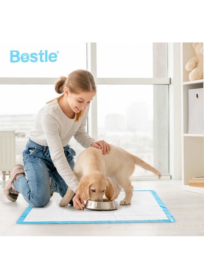 BESTLE Large Pet Training and Puppy Pads Pee Pad for Dogs 24"x24"-80 Count Super Absorbent & Leak-Free - Image 3