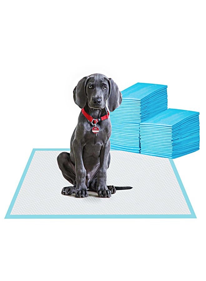 BESTLE Large Pet Training and Puppy Pads Pee Pad for Dogs 24"x24"-80 Count Super Absorbent & Leak-Free - Image 1