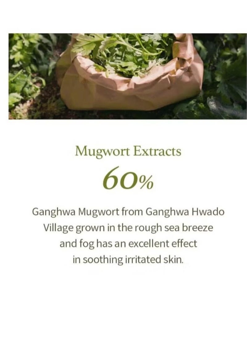 آي أم فروم منظف ​​جل الشيح 150 مل، مستخلص الشيح 60%، منظف كوري، طبيعي، عشبي، مهدئ، ملطف، تنظيف دقيق - Image 3