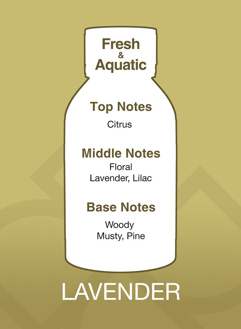 Essancy Lavender Aroma Blend Fragrance Oil 150ml - Image 2