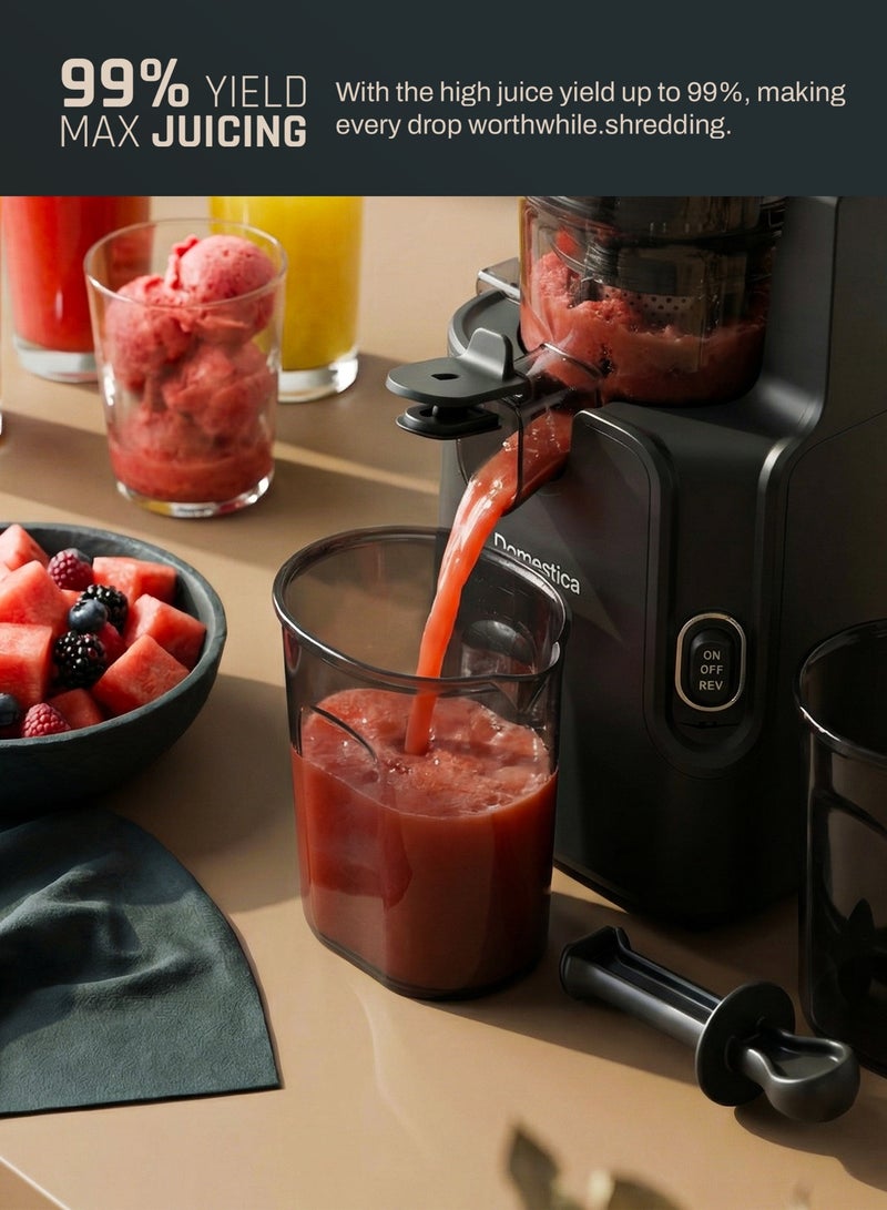 DOMESTICA Dripdrop Pro Cold Press Juicer for Home | Slow Juicer for Fruits, Veggies & Nut Milk with BLDC Motor | Slow Masticating Juicer With High Juice Yield, Low Noise, Reverse Function, Easy Cleaning, 137mm Large Chute Black - Image 5