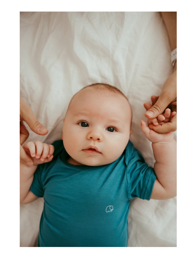 Anvi Baby Organic Bamboo Spandex Bodysuit- Blue 0 to 3 months  - Image 4