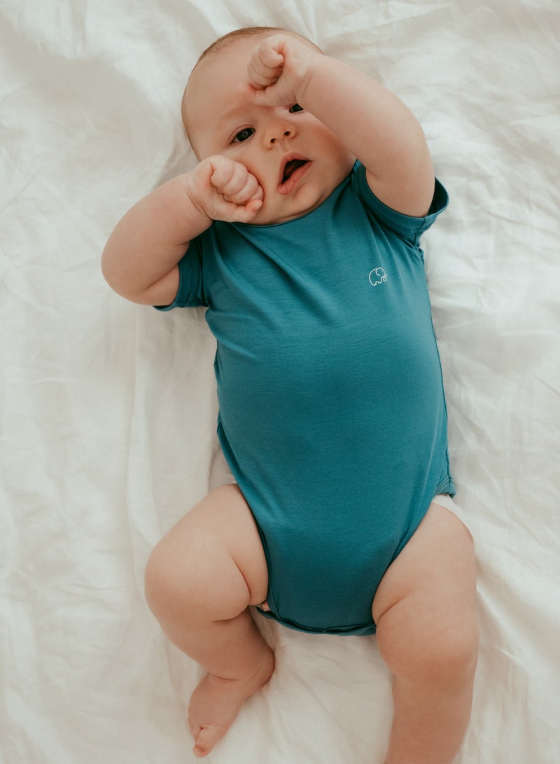 Anvi Baby Organic Bamboo Spandex Bodysuit- Blue 0 to 3 months  - Image 5
