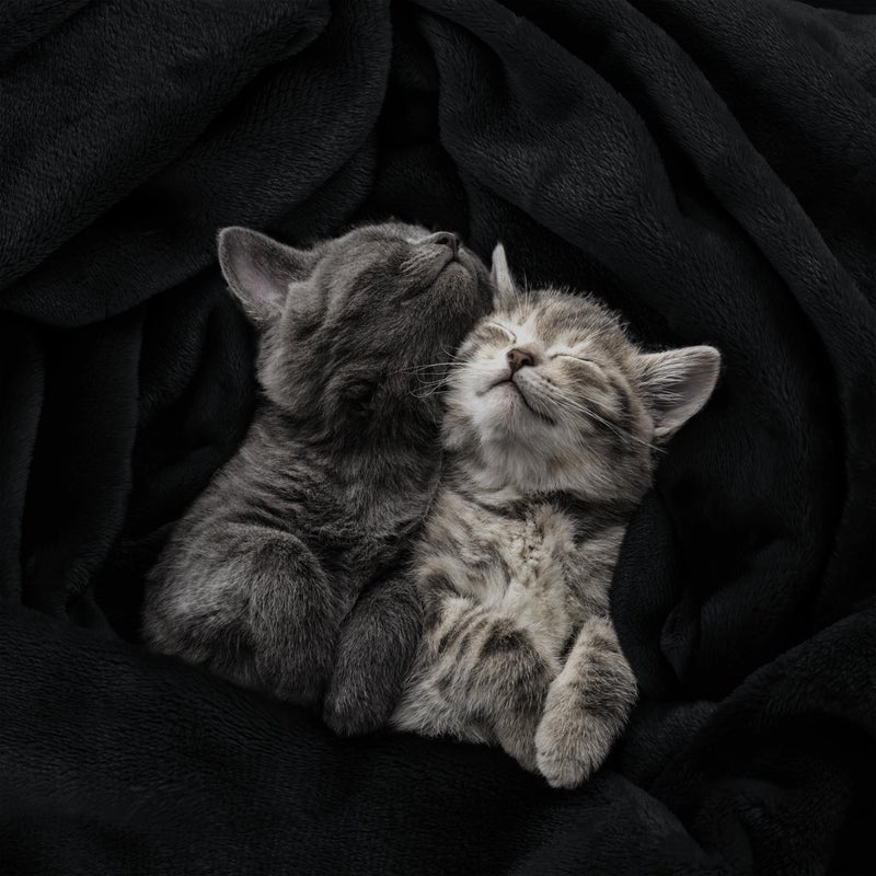 Utopia Bedding Fleece Blanket Throw Size Black 300 GSM Luxury Anti-Static Fuzzy Soft Microfiber Blanket for Couch, Sofa and Bed (60x50 Inch) - Image 4